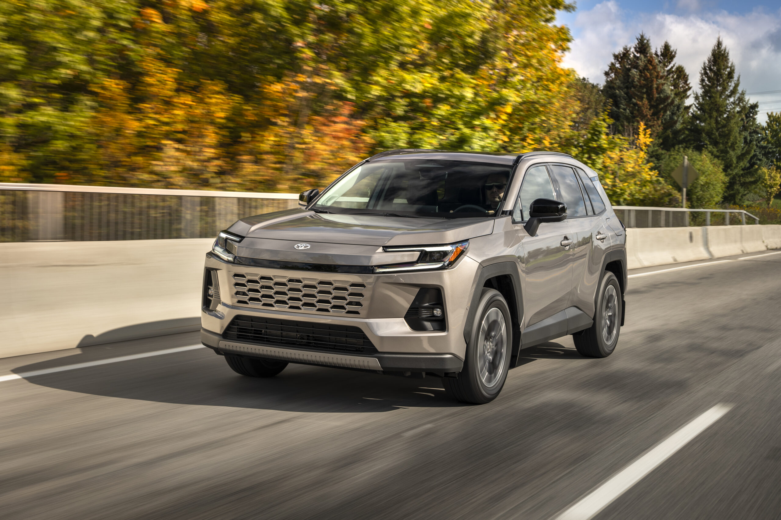 Rav4 limited in storm cloud 2 scaled 1